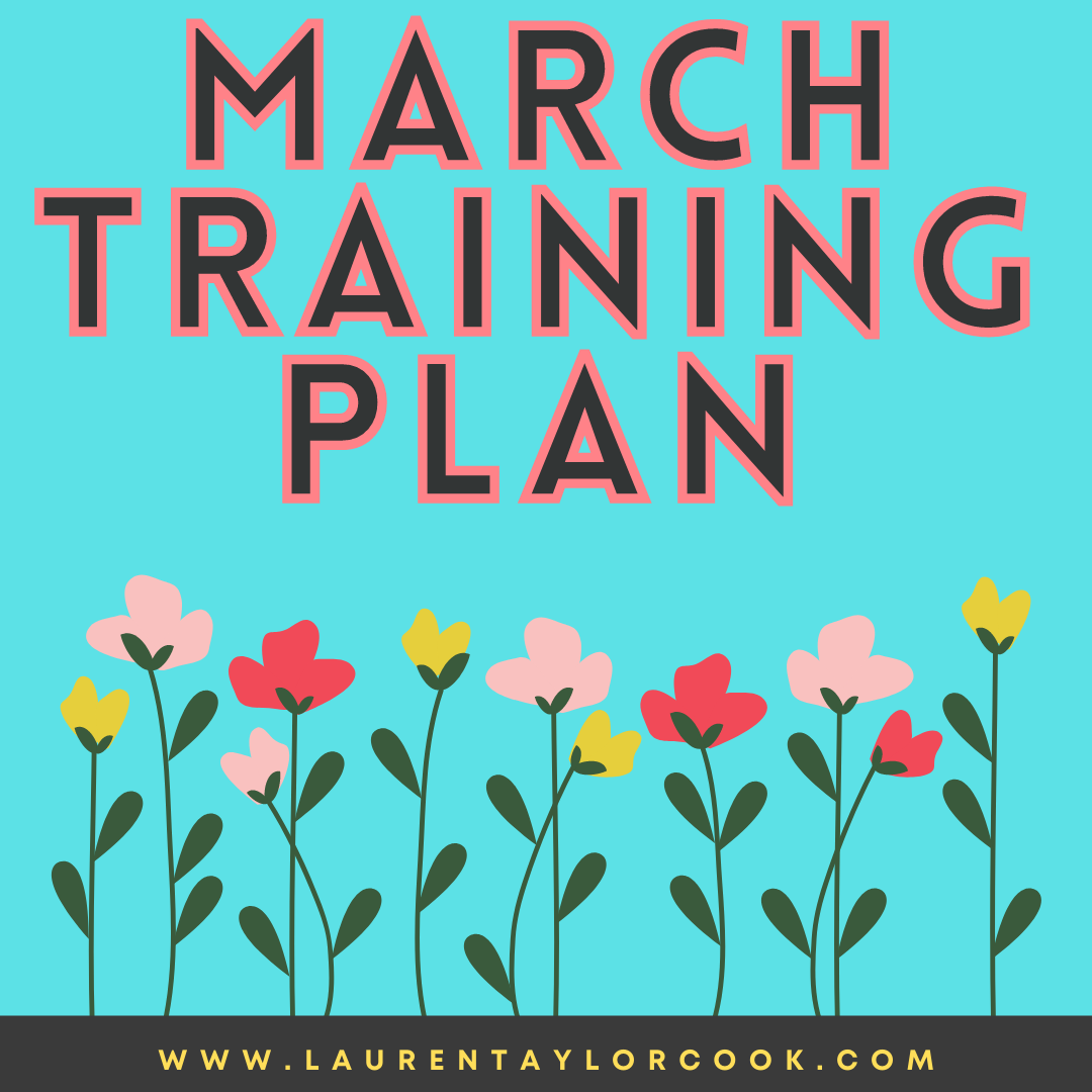 Training Plan Other Terms