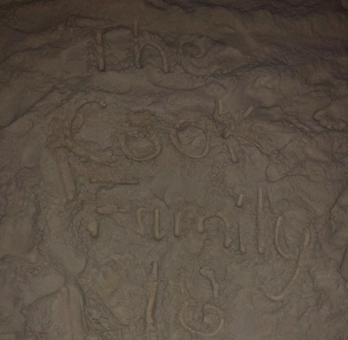 The Cook Family 2018